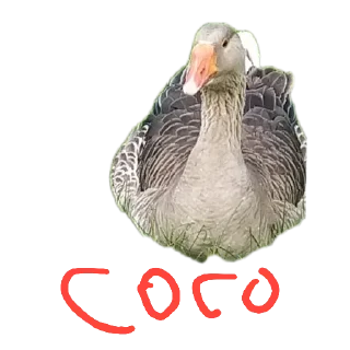 🐦 emoji стикеры какого то еблана Telegram sticker 13 of 70