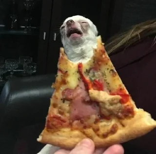 🍕 emoji чо Telegram sticker 13 of 17