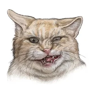 🌟 emoji насилие 5 Telegram sticker 20 of 120