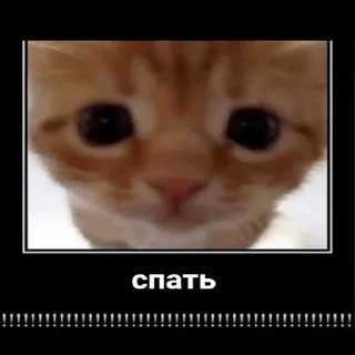 😴 emoji я еблан Telegram sticker 5 of 83