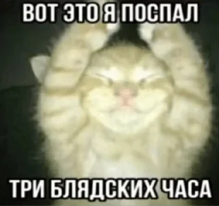 Sticker from my mood