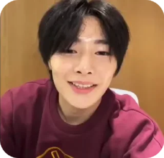 🌟 emoji JEONING |@STRAYKIDS_WIENER| Telegram sticker 7 of 22