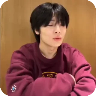 🌟 emoji JEONING |@STRAYKIDS_WIENER| Telegram sticker 20 of 22