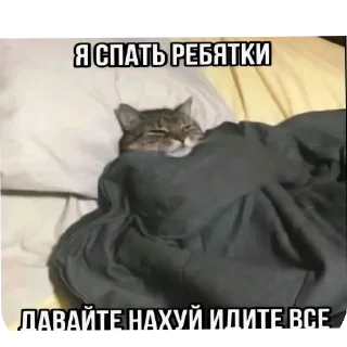 😴 emoji Хочу - от @samskinesh Telegram sticker 5 of 9