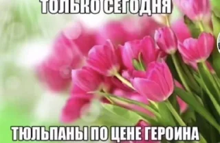 🌺 emoji пикчи чтоли Telegram sticker 20 of 120