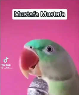👳‍♀️ emoji юзанул эмоцию Telegram sticker 18 of 110