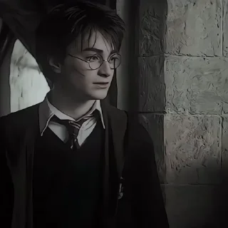 🤩 emoji Harry Potter @sasweirdo @MoiStikiBot Telegram sticker 5 of 43