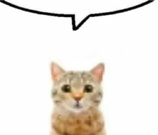 🌟 emoji pashadurov Telegram sticker 19 of 108