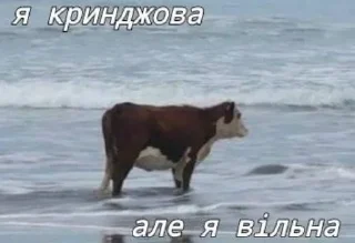 🇺🇦 emoji ЧВК Впопінс @penitent_memes Telegram sticker 5 of 22
