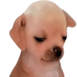😞 emoji Мишка Дура Telegram sticker 12 of 39
