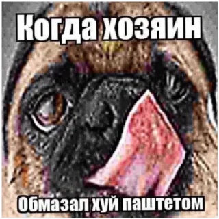 Sticker from Хуета