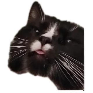 😋 emoji Roma Telegram sticker 8 of 74