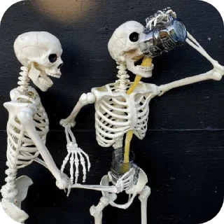 Sticker from Cool skeletons