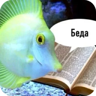 🍲 emoji стикеры мега хайпа 🕺🏼 Telegram sticker 14 of 120