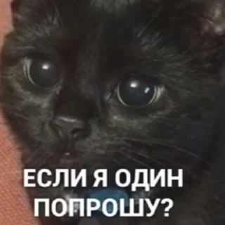 🥲 emoji ЪуЪ Telegram sticker 11 of 79