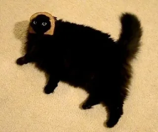 🍞 emoji Ъуъ Telegram sticker 11 of 11