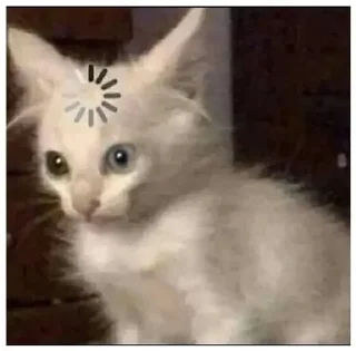 😺 emoji Мемы Telegram sticker 12 of 21