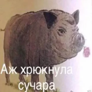 🐷 emoji у-у-у быдло😡 Telegram sticker 16 of 52