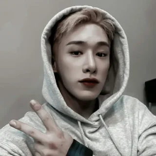 🥠 emoji #𝐦𝐨𝐨𝐝: wonho ;: by @paradismaudit Telegram sticker 16 of 40