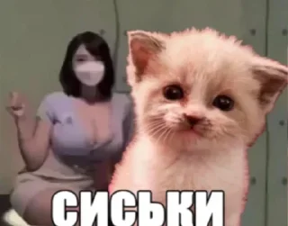 😔 emoji юра дура @kvunu Telegram sticker 24 of 120