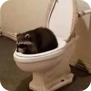 🚽 emoji Еноты 🦝 Telegram sticker 1 of 23