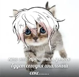 🔞 emoji ритуся хуйни не скажет Telegram sticker 23 of 60