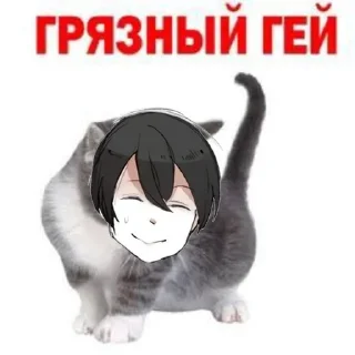 🏳‍🌈 emoji ритуся хуйни не скажет Telegram sticker 17 of 60