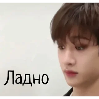 😐 emoji Skz mood 😐 Telegram sticker 5 of 63