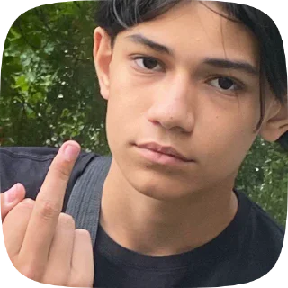 🖕 emoji майотик Telegram sticker 6 of 20