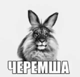 🌟 emoji мемасики богов Telegram sticker 2 of 58