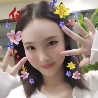 🍤 emoji NAYEON @Y1WUI Telegram sticker 24 of 30