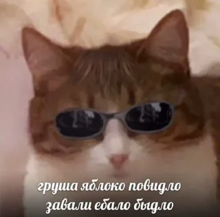 Sticker from какая-то хуета