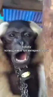 🤩 emoji Ну да Telegram sticker 14 of 35