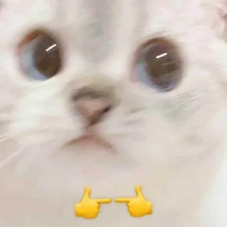 🌟 emoji милые пикчи. <3 💗 Telegram sticker 10 of 63