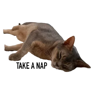 Sticker from китики