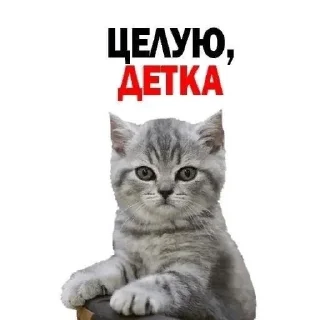😙 emoji злые Telegram sticker 17 of 36