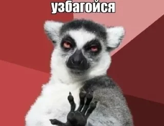 😌 emoji ХтотоШтотоХдето Telegram sticker 11 of 15