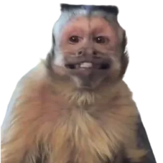 😁 emoji абезяны ¦| @mmmugza Telegram sticker 21 of 50