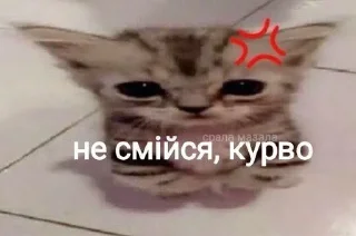 Sticker from пікчі для милий розмов