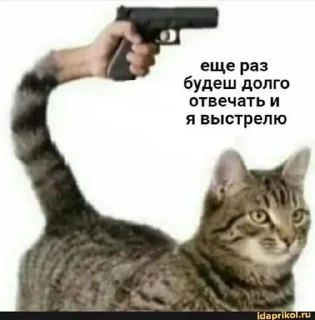 😃 emoji даргинский мат Telegram sticker 16 of 44