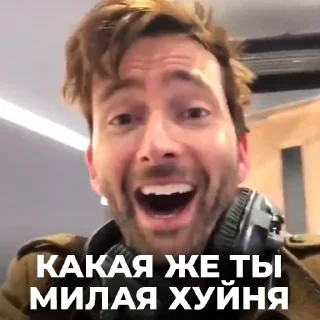 😍 emoji Какого Фёрта ШТ Telegram sticker 8 of 56