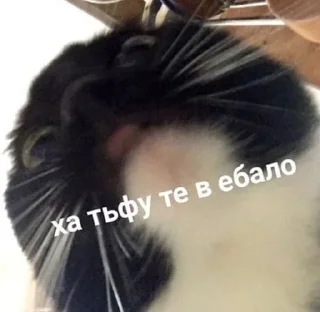 😡 emoji эм чо.. Telegram sticker 9 of 34