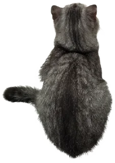 🥺 emoji Леха Telegram sticker 18 of 85