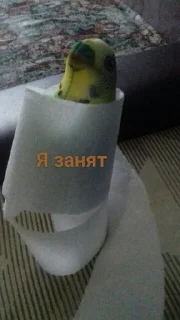 💩 emoji Блопсы 2 Telegram sticker 16 of 17