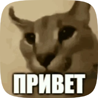 👋 emoji Шлёпа 2 Telegram sticker 24 of 50