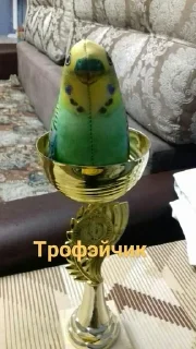 🏆 emoji Блопсы 2 Telegram sticker 8 of 17