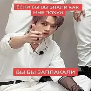 Sticker from похуй by @DuoSticker_bot