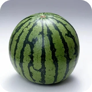🥦 emoji Котики и др Telegram sticker 22 of 69