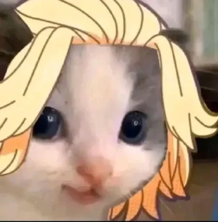 🥄 emoji Токийские коты Telegram sticker 9 of 43