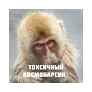 😡 emoji Космобарсик монке Telegram sticker 15 of 22